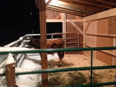 Transitions: Preparing the Farmer for Winter Image